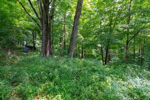 Homes for sale in Plymouth, CT | 140A E Plymouth Rd, Plymouth, CT 06786 | MLS# 24047241