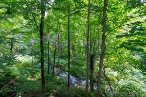 Homes for sale in Plymouth, CT | 140A E Plymouth Rd, Plymouth, CT 06786 | MLS# 24047241