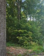 Homes for sale in Cheshire, CT | Waterbury Rd, Cheshire, CT 06410 | MLS# 24047391