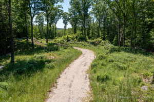 Homes for sale in Washington, CT | 101 Lower Church Hill Rd, Washington, CT 06794 | MLS# 24048641