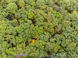 Homes for sale in Killingly, CT | 96 Rodgers Rd, Killingly, CT 06241 | MLS# 24048861