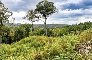 Homes for sale in Washington, CT | 101 Lower Church Hill Rd, Washington, CT 06794 | MLS# 24048641