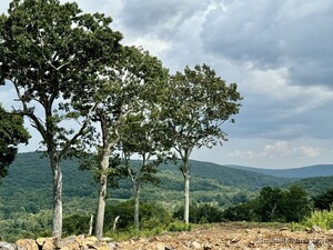 Homes for sale in Kent, CT | 73 Upper Kent Hollow Rd, Kent, CT 06757 | MLS# 24052697