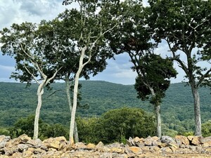 Homes for sale in Kent, CT | 73 Upper Kent Hollow Rd, Kent, CT 06757 | MLS# 24052697