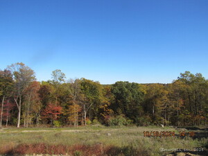 Homes for sale in Naugatuck, CT | 150 Warm Earth Rd, Naugatuck, CT 06770 | MLS# 24054857