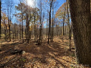 Homes for sale in Kent, CT | 00 Upper Kent Hollow Rd, Kent, CT 06757 | MLS# 24063109