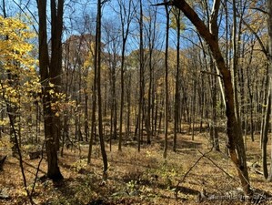 Homes for sale in Kent, CT | 00 Upper Kent Hollow Rd, Kent, CT 06757 | MLS# 24063109