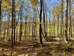 Homes for sale in Kent, CT | 00 Upper Kent Hollow Rd, Kent, CT 06757 | MLS# 24063109