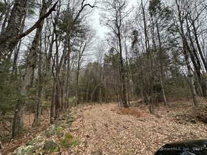 Homes for sale in Hartland, CT | Center St, Hartland, CT 06027 | MLS# 24057022