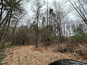 Homes for sale in Hartland, CT | Center St, Hartland, CT 06027 | MLS# 24057022