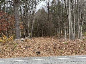 Homes for sale in Hartland, CT | Center St, Hartland, CT 06027 | MLS# 24057022