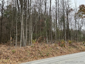 Homes for sale in Hartland, CT | Center St, Hartland, CT 06027 | MLS# 24057022