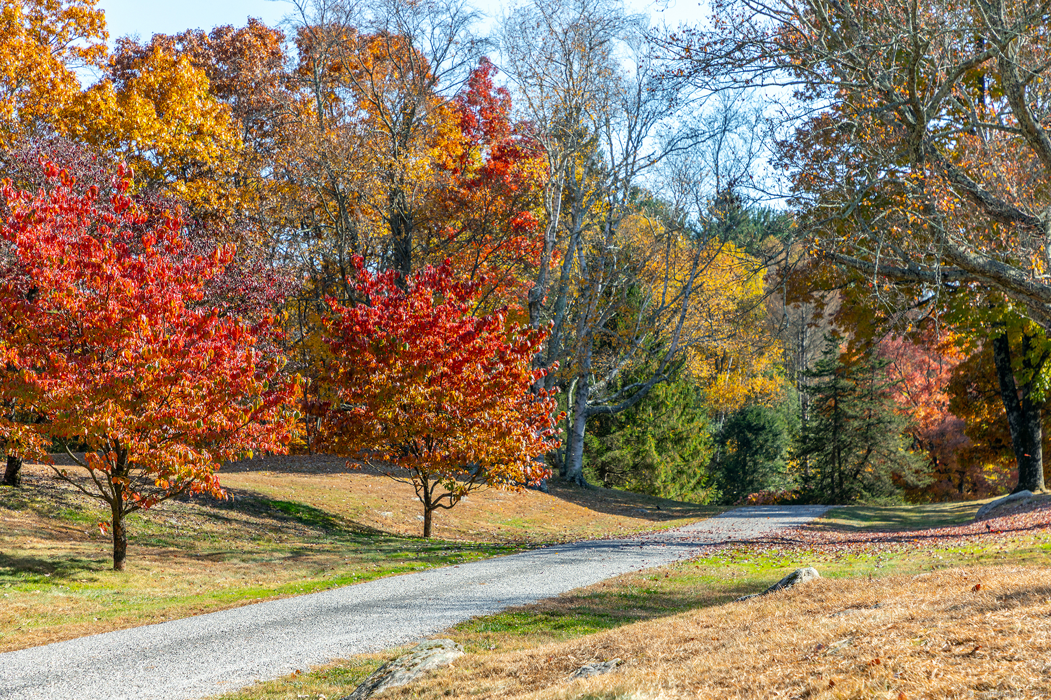 44 Chalybes, Roxbury, Connecticut 06783