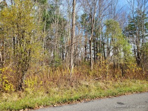 Homes for sale in Goshen, CT | Brynmoor Ct #WL Lot 556, Goshen, CT 06756 | MLS# 170605627