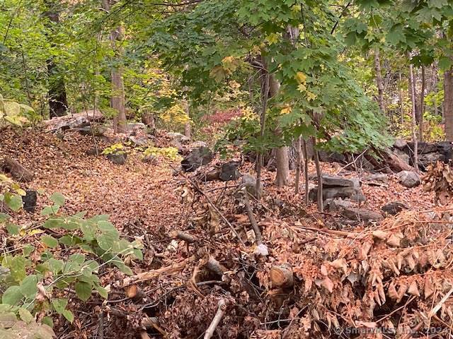 1.84 Acre Lot in Waterbury on a private dead end road surrounded by trees.