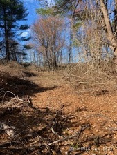 Homes for sale in Pomfret, CT | 11 Cheney Rd, Pomfret, CT 06259 | MLS# 24057588