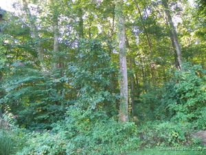 Homes for sale in Waterford, CT | 100 Cross Rd, Waterford, CT 06385 | MLS# 24060365