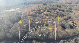 Homes for sale in Hartland, CT | 0 Hartland Blvd, Hartland, CT 06027 | MLS# 24060551