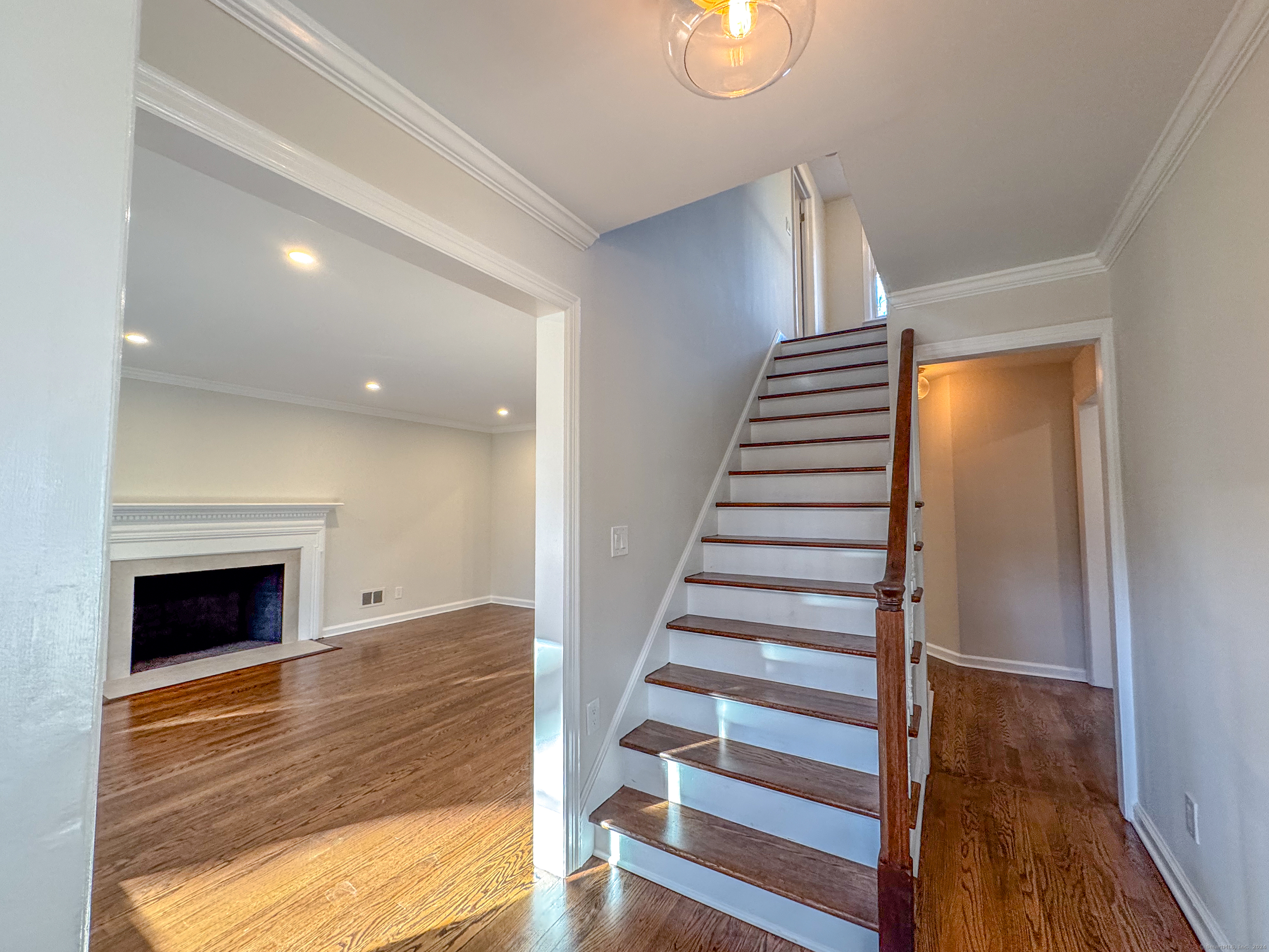 20 Mumford, New Haven, Connecticut 06515