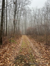 Homes for sale in Sharon, CT | Westwoods Rd # 1, Sharon, CT 06069 | MLS# 24061899