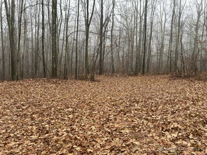 Homes for sale in Sharon, CT | Westwoods Rd # 1, Sharon, CT 06069 | MLS# 24061899