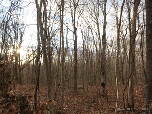 Homes for sale in Preston, CT | 23a Tanglewood Dr, Preston, CT 06365 | MLS# 24062370