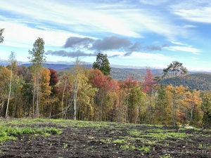 Homes for sale in Sharon, CT | 39 Swaller Hill Rd, Sharon, CT 06069 | MLS# 24065335