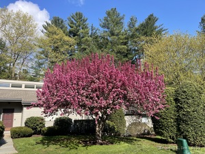 Homes for sale in Avon, CT | 2 Bramble Bush #2, Avon, CT 06001 | MLS# 24065762