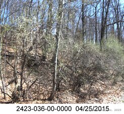 Homes for sale in Hamden, CT | 71 Dunbar Hill Rd, Hamden, CT 06514 | MLS# 24067613