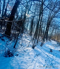 Homes for sale in Hamden, CT | 71 Dunbar Hill Rd, Hamden, CT 06514 | MLS# 24067613