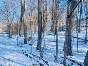 Homes for sale in Hamden, CT | 71 Dunbar Hill Rd, Hamden, CT 06514 | MLS# 24067613