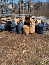 Homes for sale in Waterbury, CT | 25 Violet St, Waterbury, CT 06704 | MLS# 24070007