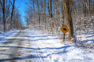 Homes for sale in Sharon, CT | 00 Westwoods Lot#2 Rd, Sharon, CT 06069 | MLS# 24069965