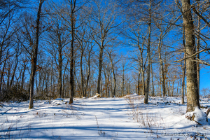 Homes for sale in Sharon, CT | 00 Westwoods Lot#2 Rd, Sharon, CT 06069 | MLS# 24069965