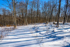 Homes for sale in Sharon, CT | 00 Westwoods Lot#2 Rd, Sharon, CT 06069 | MLS# 24069965