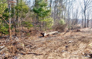 Homes for sale in Mansfield, CT | 1728 Stafford Rd, Mansfield, CT 06268 | MLS# 24070299