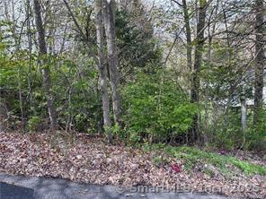 Sloping, wooded .20 acre lot in established residential neighborhood, in Oakville. This is not an approved building lot- it is non-conforming, and the property will be sold as-is. Agents please read confidential agent remarks, before submitting contracts.