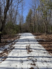 Homes for sale in Burlington, CT | Nepaug Rd, Burlington, CT 06013 | MLS# 24072811