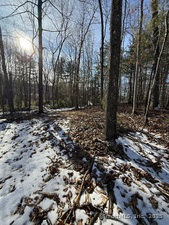 Homes for sale in Burlington, CT | Nepaug Rd, Burlington, CT 06013 | MLS# 24072811