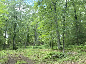 Homes for sale in Roxbury, CT | 307 North St, Roxbury, CT 06783 | MLS# 24074459