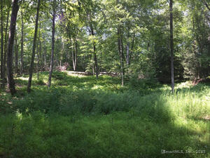 Homes for sale in Roxbury, CT | 307 North St, Roxbury, CT 06783 | MLS# 24074459