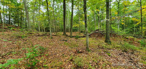 Homes for sale in Roxbury, CT | 307 North St, Roxbury, CT 06783 | MLS# 24074459