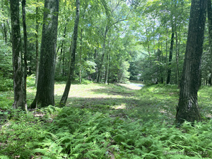 Homes for sale in Roxbury, CT | 307 North St, Roxbury, CT 06783 | MLS# 24074459