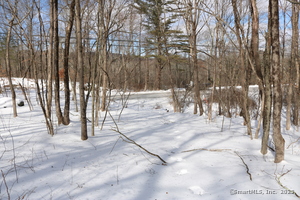 Homes for sale in Morris, CT | 00 Bantam Rd, Morris, CT 06763 | MLS# 24074398