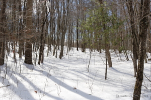 Homes for sale in Morris, CT | 00 Bantam Rd, Morris, CT 06763 | MLS# 24074398