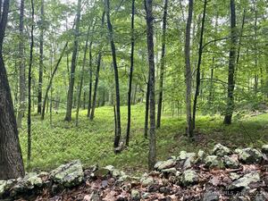 Homes for sale in Eastford, CT | Lot 0 Kozey Rd, Eastford, CT 06242 | MLS# 24075619