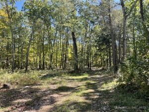 Homes for sale in Eastford, CT | Lot 0 Kozey Rd, Eastford, CT 06242 | MLS# 24075619