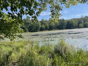 Homes for sale in Eastford, CT | Lot 0 Kozey Rd, Eastford, CT 06242 | MLS# 24075619