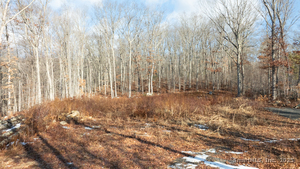 Homes for sale in East Hampton, CT | 91-A Flatbrook Rd, East Hampton, CT 06424 | MLS# 24077485