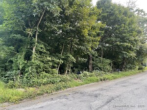 Homes for sale in Seymour, CT | 22 Frances Dr, Seymour, CT 06483 | MLS# 24078049